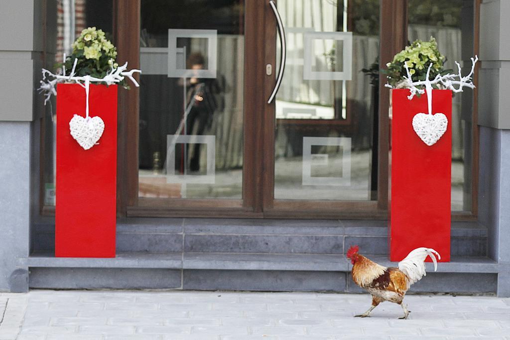 B&B Rouge E Blanc Meulebeke Bagian luar foto